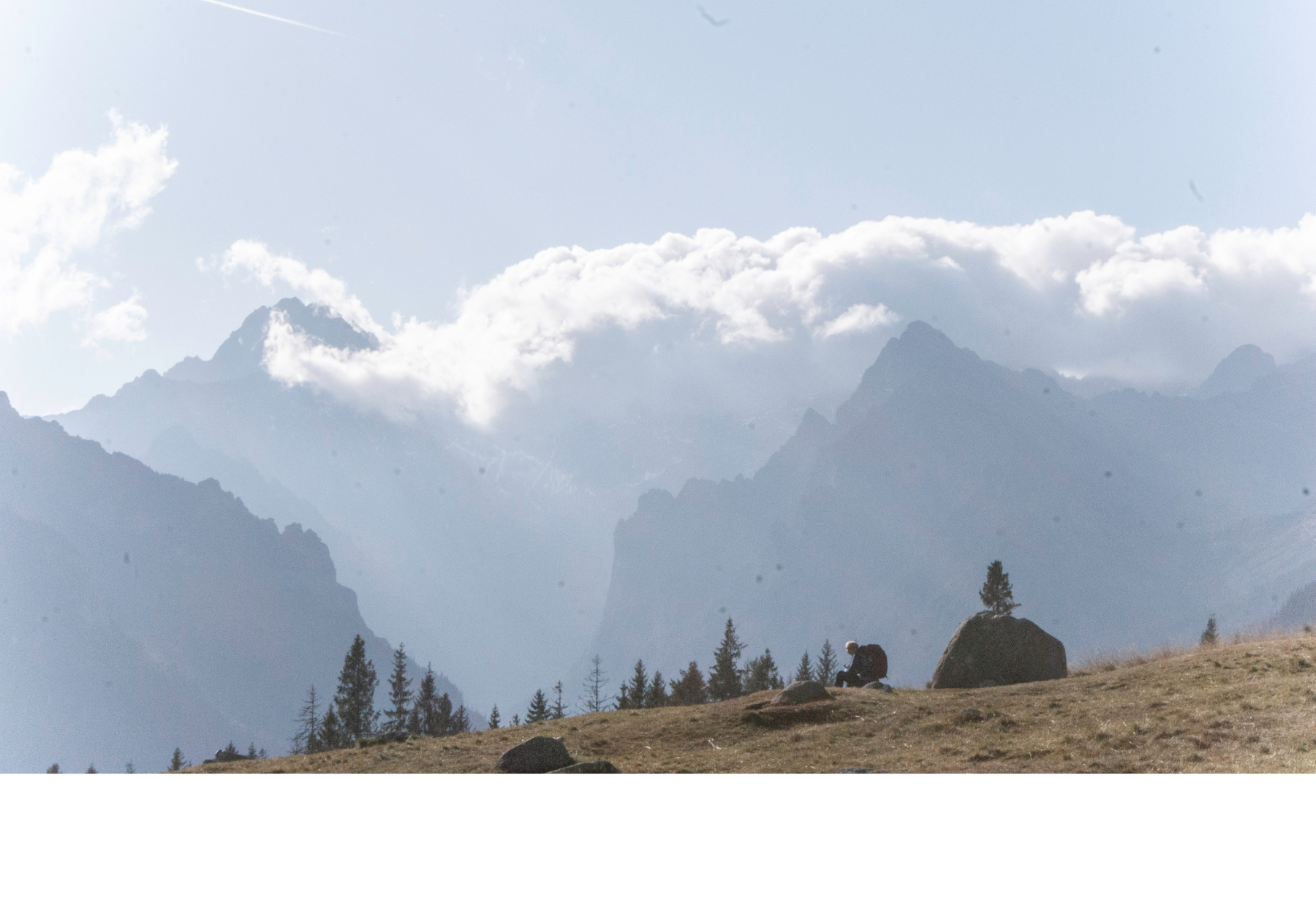 Czy język ma być piękny? O motywacji do uczenia się nowych słów